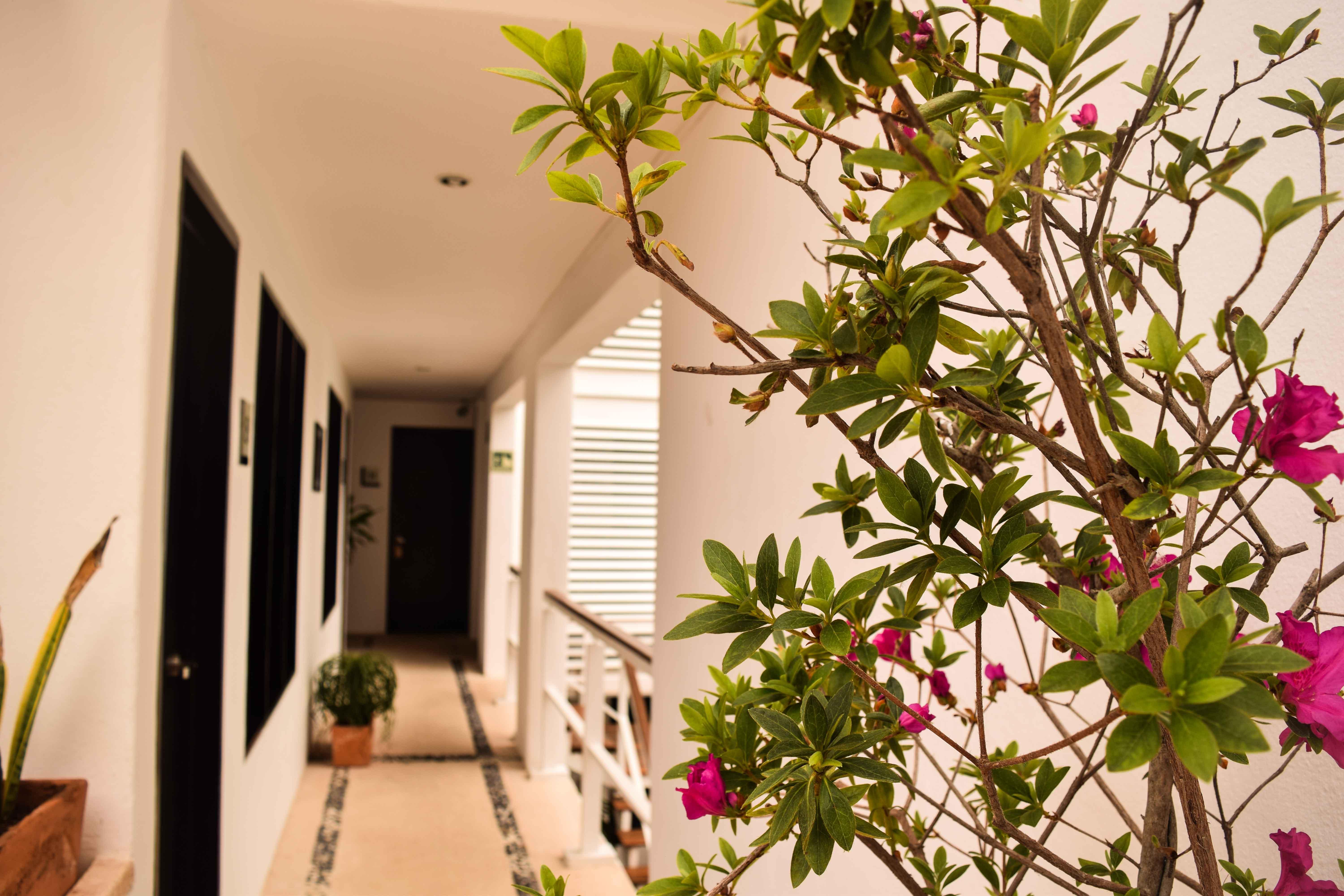 Casa Ticul Hotel Boutique - 5Th Ave (Adults Only) Плая-дель-Кармен Экстерьер фото