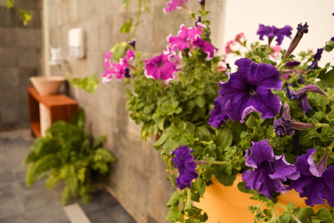 Casa Ticul Hotel Boutique - 5Th Ave (Adults Only) Плая-дель-Кармен Экстерьер фото Petunia